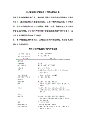 2023常用化疗药物及分子靶向药物分类.docx