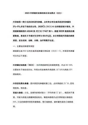 2023外阴癌的发病机制及诊治要点（全文）.docx
