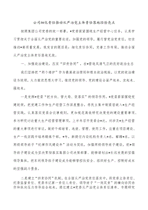 公司细化责任推动从严治党主体责任落地经验亮点.docx