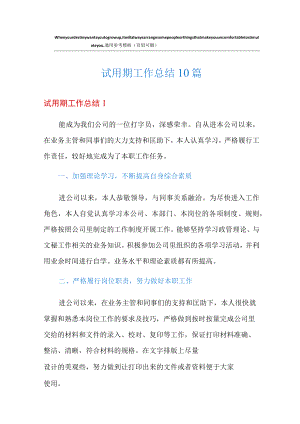 试用期工作总结10篇.docx