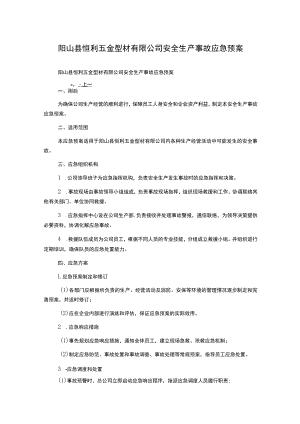 阳山县恒利五金型材有限公司安全生产事故应急预案.docx