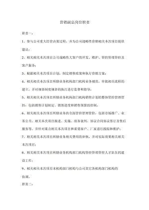 办公文档范本营销副总岗位职责.docx