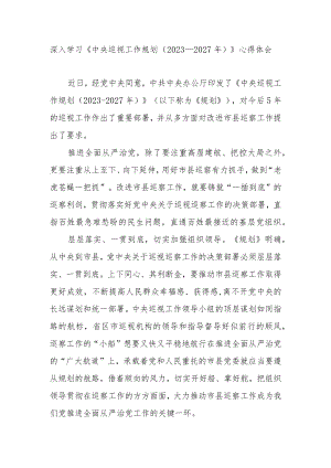 深入学习《中央巡视工作规划（2023-2027年）》心得体会2篇.docx