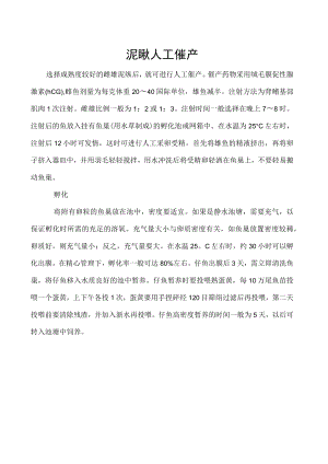 泥鳅人工催产.docx