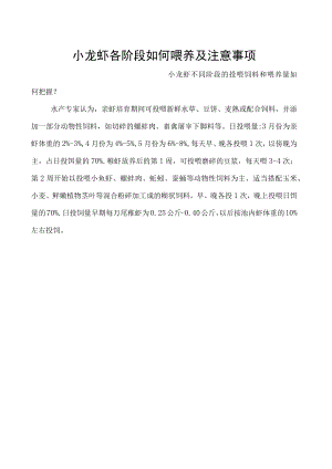 小龙虾各阶段如何喂养及注意事项.docx