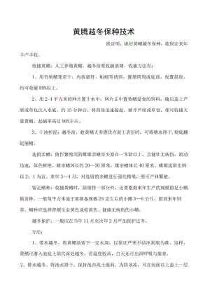 黄鳝越冬保种技术.docx