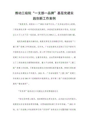 推动三级院“一支部一品牌”基层党建实践创新工作案例.docx