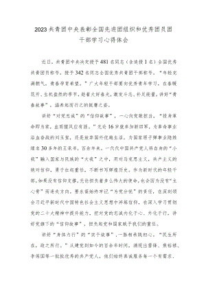 2023共青团中央表彰全国先进团组织和优秀团员团干部学习心得体会.docx