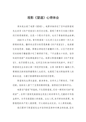 电影望道观后感四篇.docx