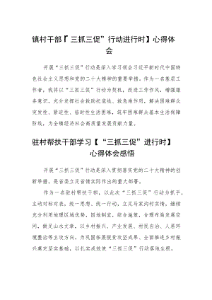 镇村干部【“三抓三促”行动进行时】心得体会范文三篇.docx