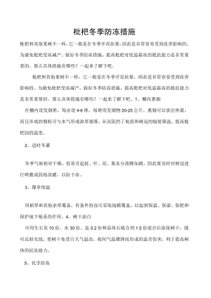 枇杷冬季防冻措施.docx