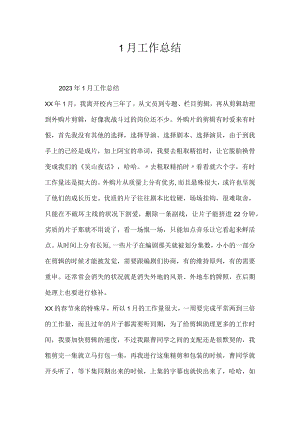 1月工作总结.docx