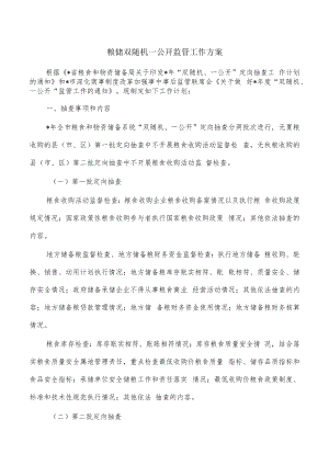 粮储双随机一公开监管工作方案.docx