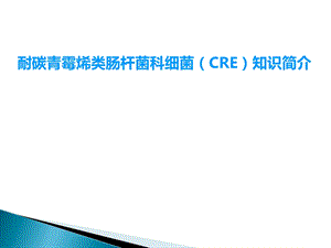 CRE知识简介.ppt