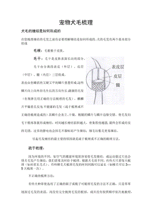 宠物犬毛梳理.docx
