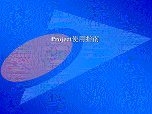 Project使用指南.ppt