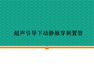 超声引导下动静脉穿刺置管.ppt