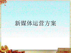 新媒体运营方案.pptx