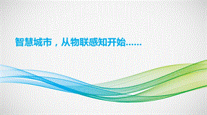 智慧城市物联网建设.pptx