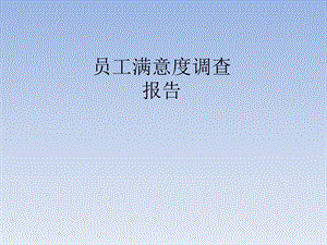 满意度调查报告.pptx