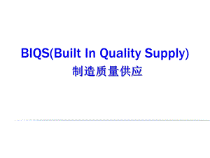 通用BIQS培训资料.pptx