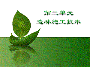 造林施工技术.pptx