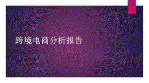 跨境电商分析报告.pptx