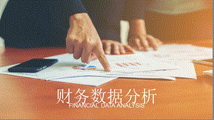 财务数据分析.pptx