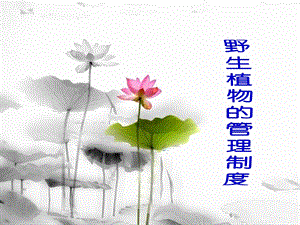 野生植物的管理制度.pptx