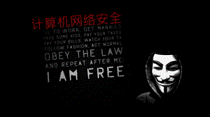 计算机网络安全.pptx