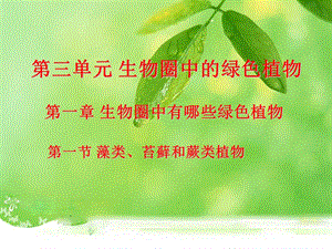 第一节藻类苔藓和蕨类植物精品教育.ppt