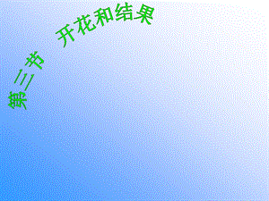 第三节开花结果精品教育.ppt