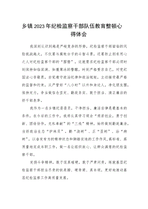 2023乡镇年纪检监察干部队伍教育整顿心得体会精选范文(3篇).docx
