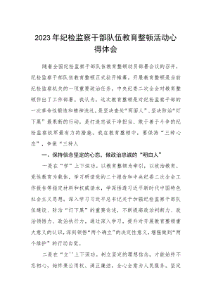 2023年纪检监察干部队伍教育整顿活动心得体会共五篇(最新精选).docx