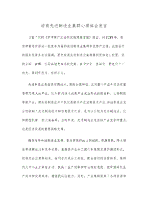 培育先进制造业集群心得体会发言.docx