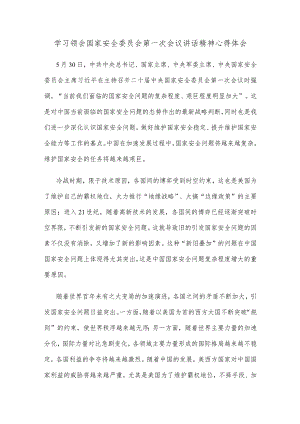学习领会国家安全委员会第一次会议讲话精神心得体会.docx