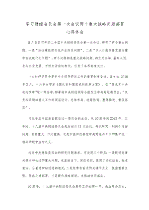 学习财经委员会第一次会议两个重大战略问题部署心得体会.docx
