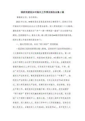 镇抓党建促乡村振兴工作情况报告合集2篇.docx