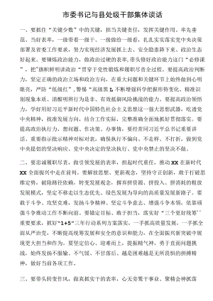 市委书记与县处级干部集体谈话 .docx