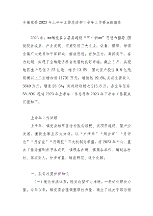乡镇2023年上半年工作总结和下半年工作要点计划思想打算.docx