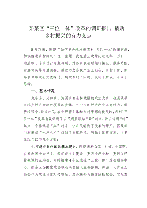 某某区“三位一体”改革的调研报告：撬动乡村振兴的有力支点.docx