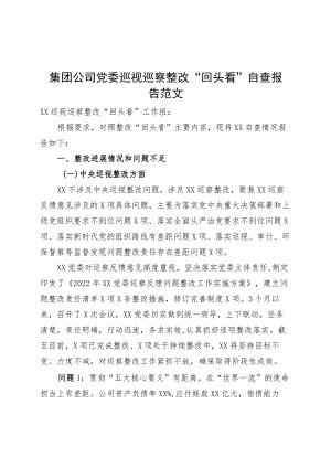 集团公司党委巡视巡察整改回头看自查报告企业问题工作汇报总结.docx