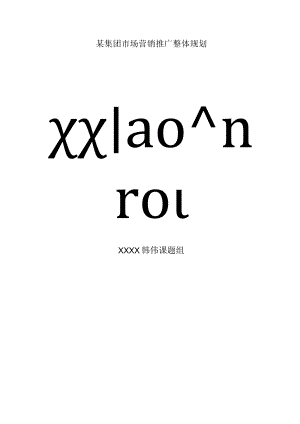 某集团市场营销推广整体规划.docx