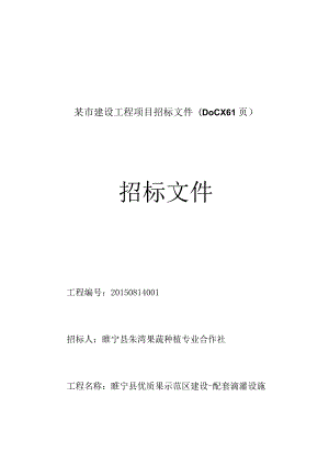 某市建设工程项目招标文件(DOCX 61页).docx