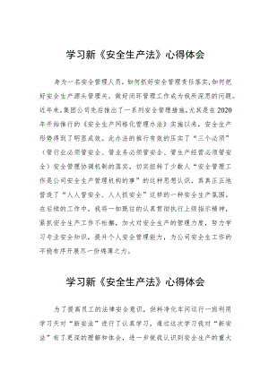 安全管理人员学习新《安全生产法》心得感悟十篇.docx