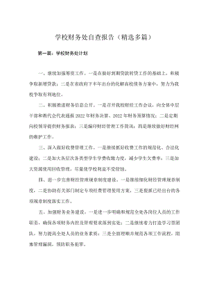 学校财务处自查报告.docx