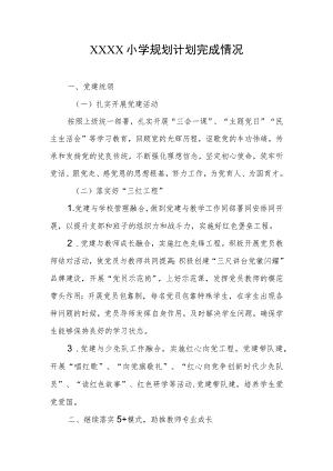小学规划计划完成情况.docx