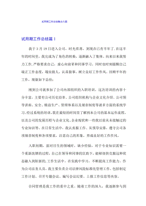 试用期工作总结集合六篇.docx