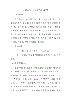 龙溪山洪沟防洪工程综合说明.docx