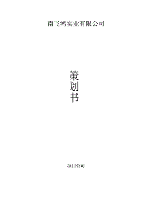 项目前期工程策划书.docx